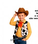 Woody Toy Story infantil