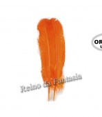 Pena de Pato - UNIDADE